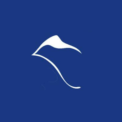 Ortopedia_Teide