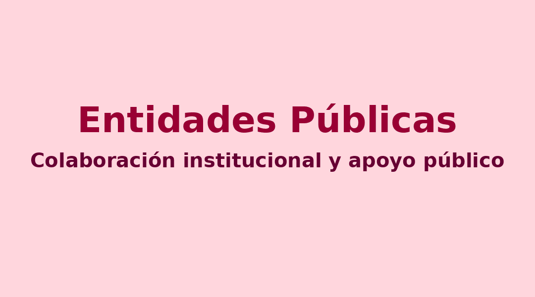 entidades_publicas_1080x600_texto (1)